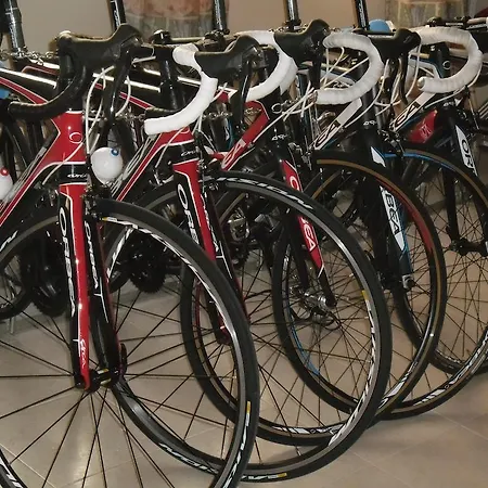 Bed & Breakfast Del Monte Y Bike Adults Only Santa Brígida