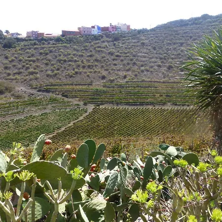 Del Monte Y Bike Adults Only Bed & Breakfast Santa Brígida